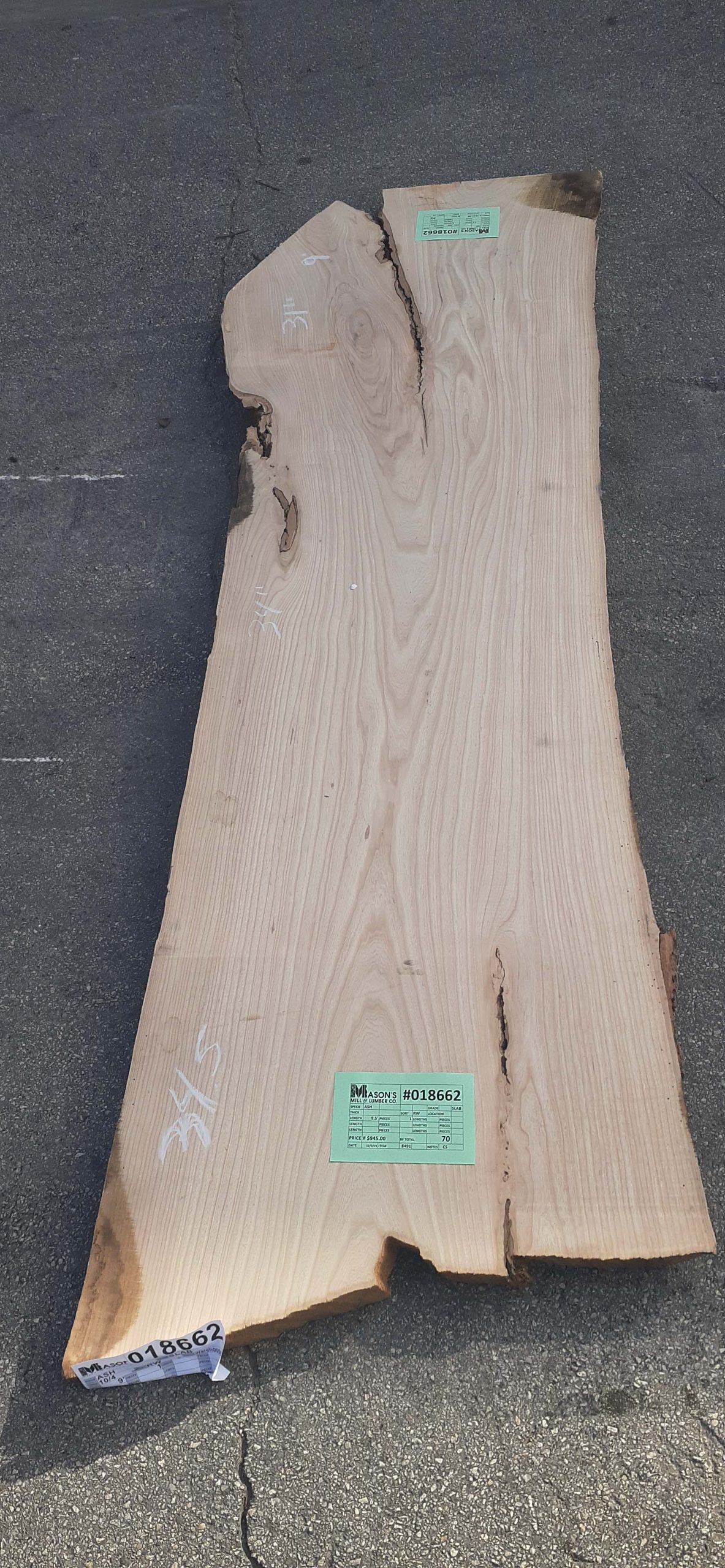 Ash 018662-image