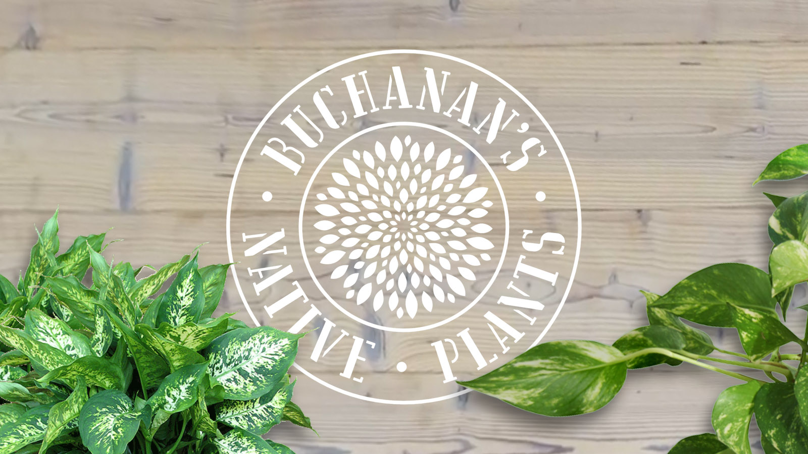 Thermory® Kodiak Spruce Cladding Brings Texture to Buchanan’s Native Plants