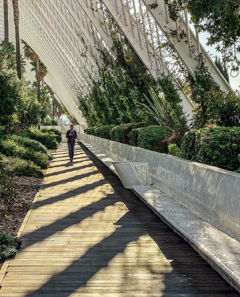 biophilic design